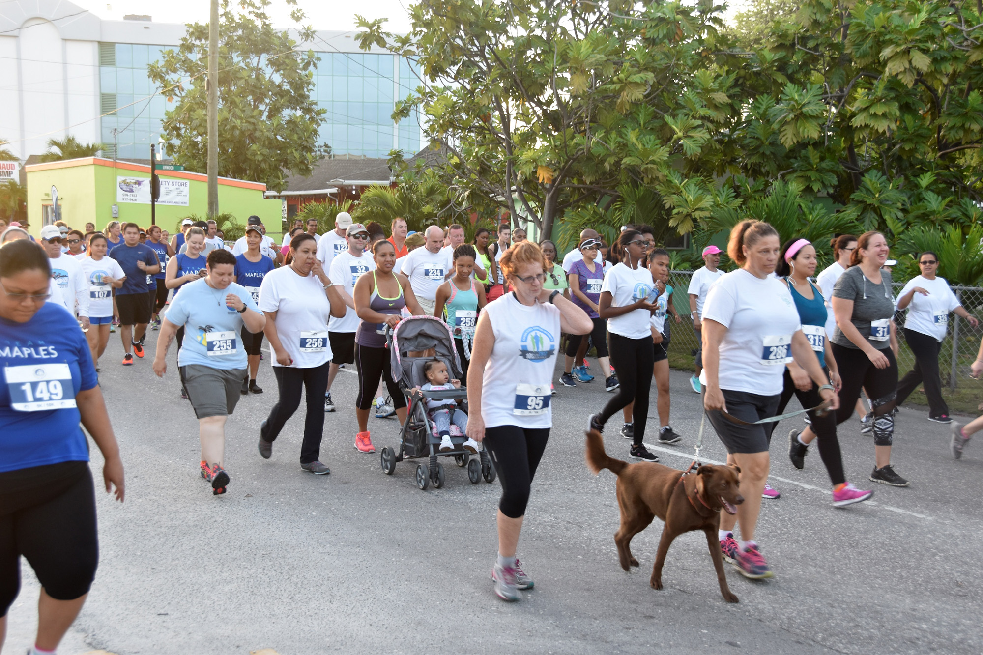 Participants at 2017 Walk/Run