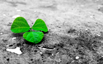 CIMA’s Latest Financial Stability Report Highlights Resilience Amid Global Risks