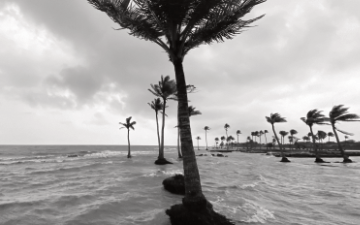 Insurance Preparedness Tips for Hurricane Season